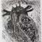 HEART_20120905_6126
